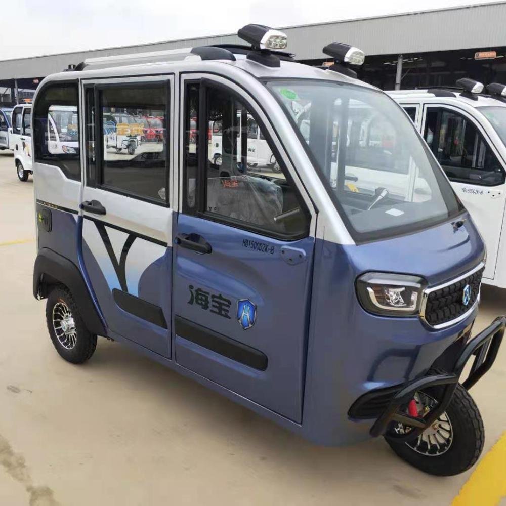 Electric Older Person 3 Wheels Cargo Tricycle for Disabled Family Electric Tuk Tuk Closed Tricycle